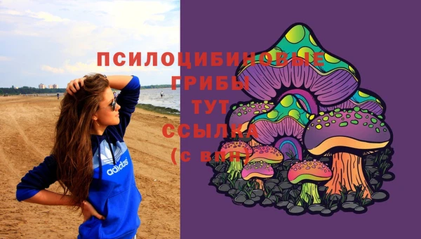 МДПВ Михайловка