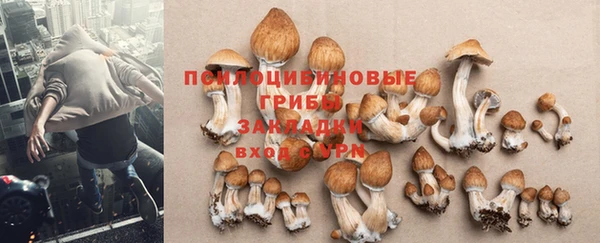 мет Мегион