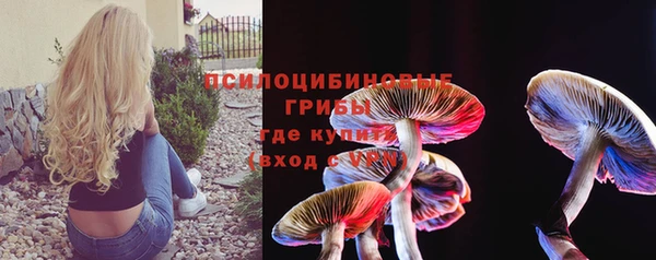 мет Мегион