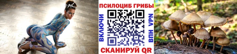 Галлюциногенные грибы ЛСД  ОМГ ОМГ ONION  Липецк 